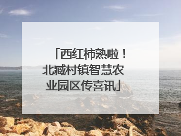 西红柿熟啦！北臧村镇智慧农业园区传喜讯