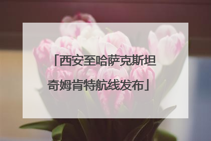 西安至哈萨克斯坦奇姆肯特航线发布