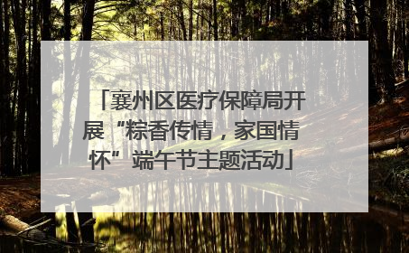 襄州区医疗保障局开展“粽香传情，家国情怀”端午节主题活动