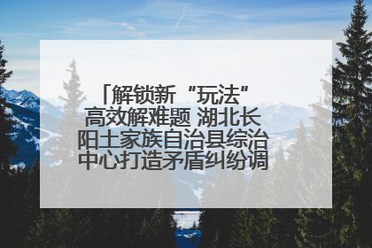 解锁新“玩法” 高效解难题 湖北长阳土家族自治县综治中心打造矛盾纠纷调处“终点站”