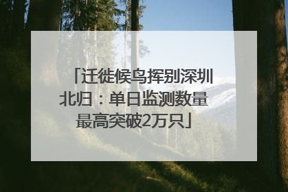 迁徙候鸟挥别深圳北归：单日监测数量最高突破2万只