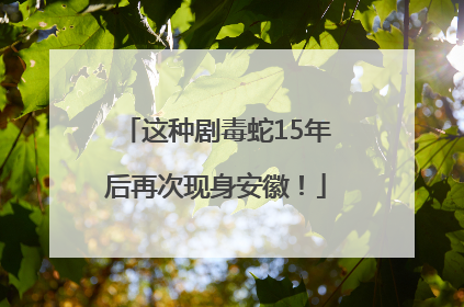这种剧毒蛇15年后再次现身安徽！