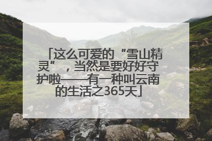 这么可爱的“雪山精灵”，当然是要好好守护啦——有一种叫云南的生活之365天
