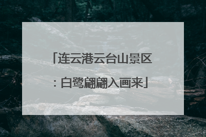 连云港云台山景区：白鹭翩翩入画来