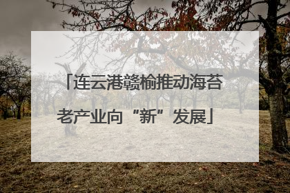 连云港赣榆推动海苔老产业向“新”发展
