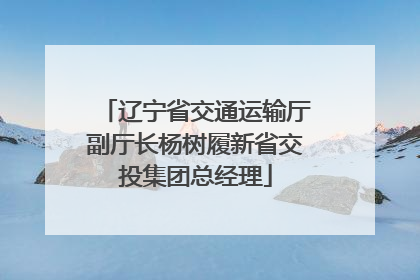 辽宁省交通运输厅副厅长杨树履新省交投集团总经理