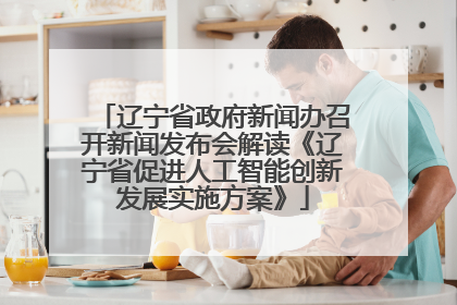 辽宁省政府新闻办召开新闻发布会解读《辽宁省促进人工智能创新发展实施方案》