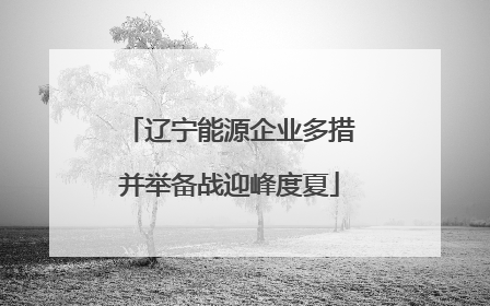辽宁能源企业多措并举备战迎峰度夏