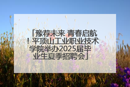 豫荐未来 青春启航！平顶山工业职业技术学院举办2025届毕业生夏季招聘会
