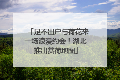 足不出户与荷花来一场浪漫约会！湖北推出赏荷地图