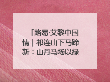 路易·艾黎中国情｜祁连山下马蹄新：山丹马场以绿色发展诠释“两山”理论实践