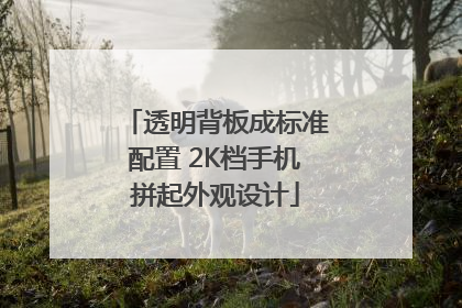 透明背板成标准配置 2K档手机拼起外观设计