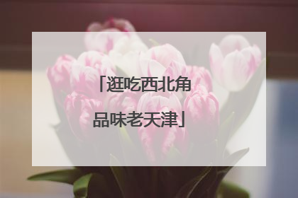 逛吃西北角 品味老天津