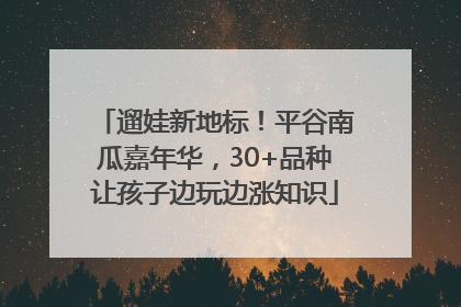遛娃新地标！平谷南瓜嘉年华，30+品种让孩子边玩边涨知识