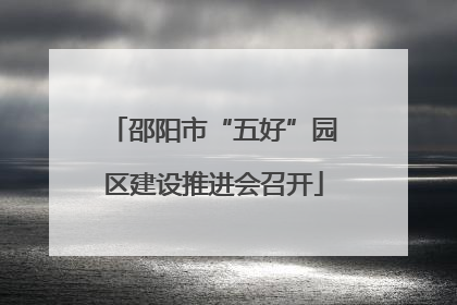 邵阳市“五好”园区建设推进会召开