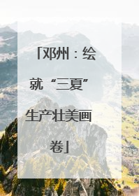 邓州：绘就“三夏”生产壮美画卷
