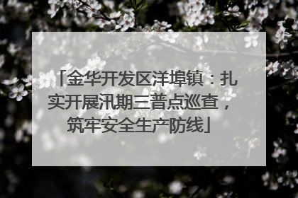 金华开发区洋埠镇：扎实开展汛期三普点巡查，筑牢安全生产防线