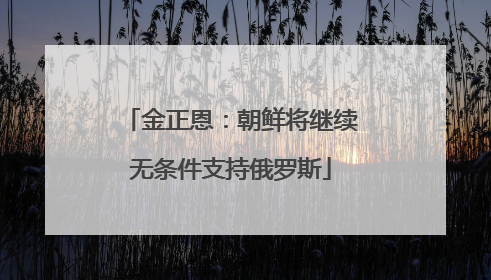 金正恩：朝鲜将继续无条件支持俄罗斯