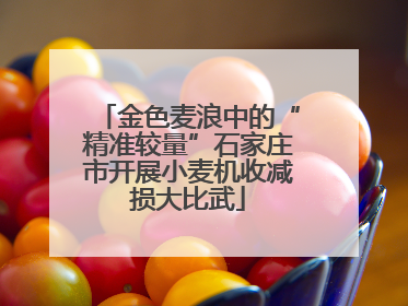 金色麦浪中的“精准较量”石家庄市开展小麦机收减损大比武