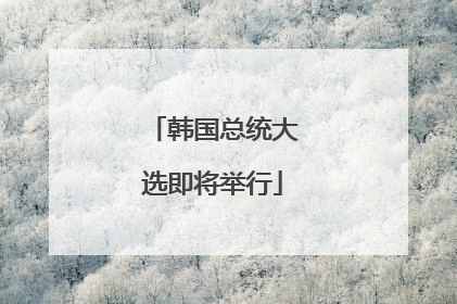 韩国总统大选即将举行