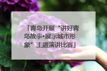 青岛开展“讲好青岛故事•展示城市形象”主题演讲比赛
