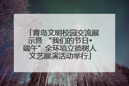 青岛文明校园交流展示暨 “我们的节日•端午”全环境立德树人文艺展演活动举行