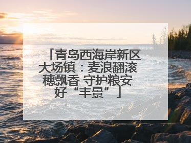 青岛西海岸新区大场镇：麦浪翻滚穗飘香 守护粮安好“丰景”