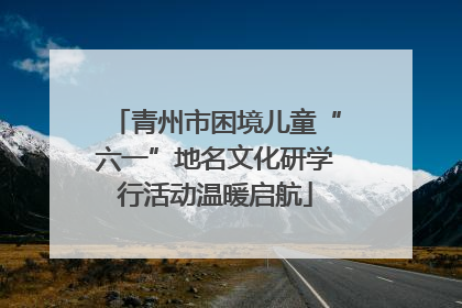 青州市困境儿童“六一”地名文化研学行活动温暖启航