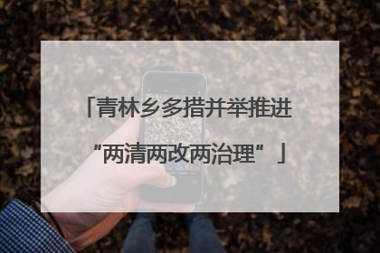 青林乡多措并举推进“两清两改两治理”
