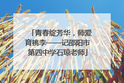 青春绽芳华，师爱育桃李——记邵阳市第四中学石琼老师