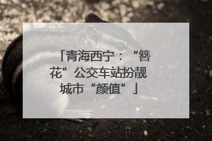 青海西宁：“簪花”公交车站扮靓城市“颜值”