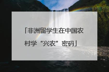 非洲留学生在中国农村学“兴农”密码