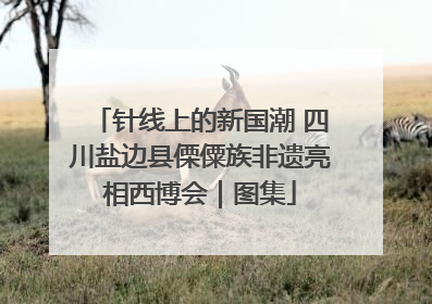 针线上的新国潮 四川盐边县傈僳族非遗亮相西博会｜图集