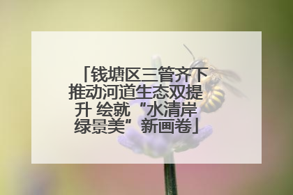 钱塘区三管齐下推动河道生态双提升 绘就“水清岸绿景美”新画卷