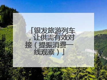 银发旅游列车，让供需有效对接（提振消费一线观察）