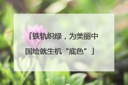 铁轨织绿，为美丽中国绘就生机“底色”