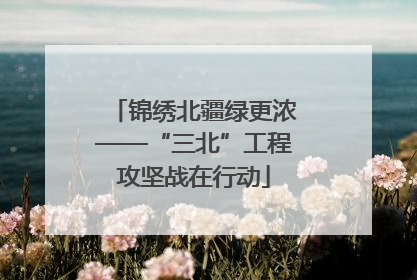 锦绣北疆绿更浓——“三北”工程攻坚战在行动