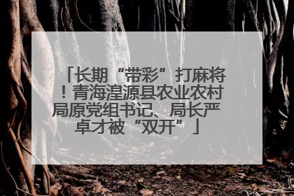 长期“带彩”打麻将！青海湟源县农业农村局原党组书记、局长严卓才被“双开”