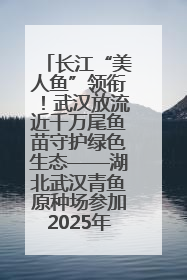 长江“美人鱼”领衔！武汉放流近千万尾鱼苗守护绿色生态——湖北武汉青鱼原种场参加2025年“全国放鱼日”增殖放流活动