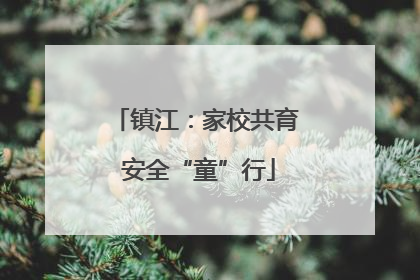 镇江：家校共育 安全“童”行