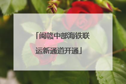 闽赣中部海铁联运新通道开通
