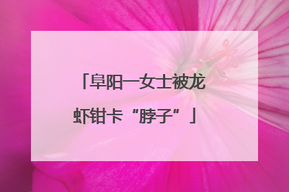 阜阳一女士被龙虾钳卡“脖子”