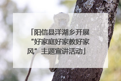 阳信县洋湖乡开展“好家庭好家教好家风”主题宣讲活动