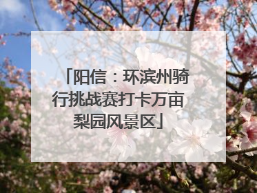 阳信：环滨州骑行挑战赛打卡万亩梨园风景区