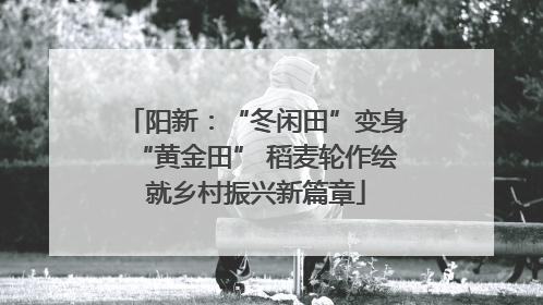 阳新：“冬闲田”变身“黄金田” 稻麦轮作绘就乡村振兴新篇章