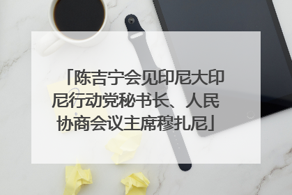 陈吉宁会见印尼大印尼行动党秘书长、人民协商会议主席穆扎尼