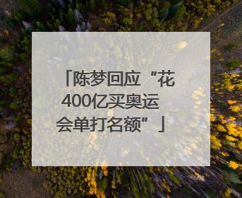 陈梦回应“花400亿买奥运会单打名额”