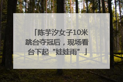 陈芋汐女子10米跳台夺冠后，现场看台下起“娃娃雨”