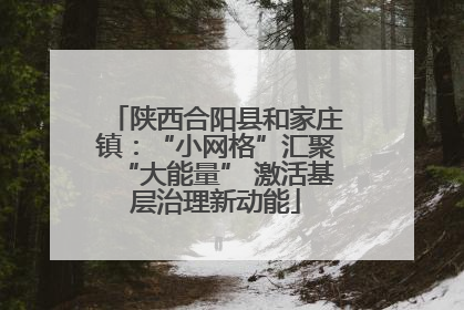 陕西合阳县和家庄镇：“小网格”汇聚“大能量” 激活基层治理新动能