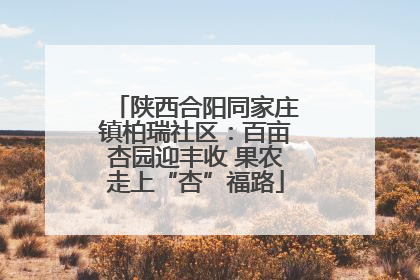陕西合阳同家庄镇柏瑞社区：百亩杏园迎丰收 果农走上“杏”福路